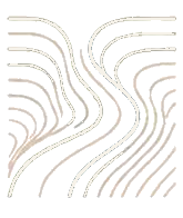 Incauce