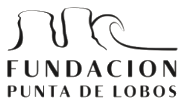 Fundación Punta de Lobos